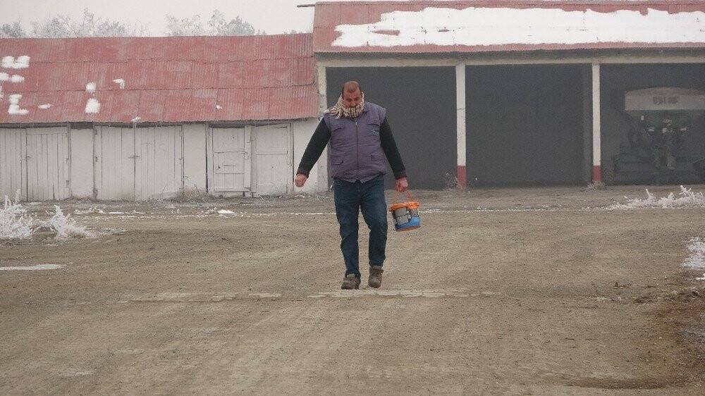 Dondurucu soğukta yem nöbeti