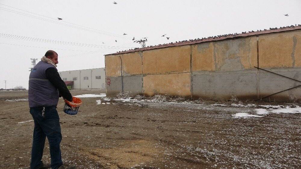 Dondurucu soğukta yem nöbeti