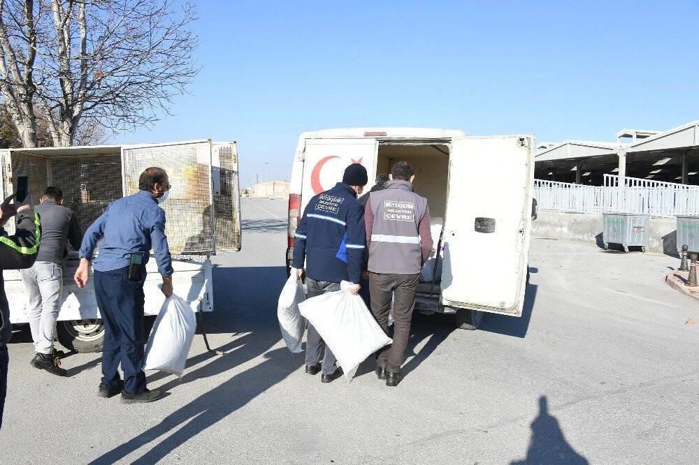 Sokağa çıkma kısıtlamasında sokak hayvanları Konya Büyükşehir'e emanet