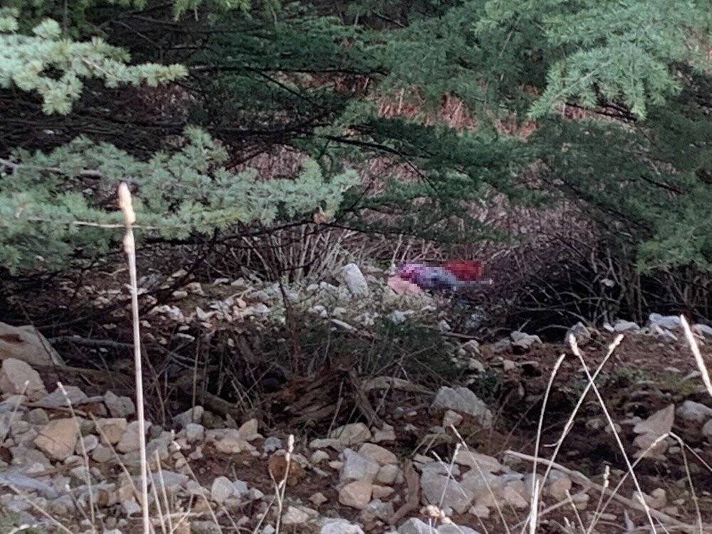 13 gündür aranan Gülsüm Doğan ölü bulundu