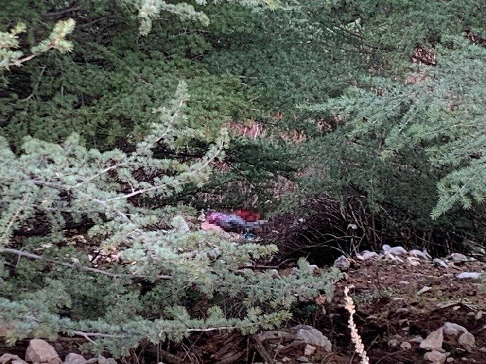 13 gündür aranan Gülsüm Doğan ölü bulundu