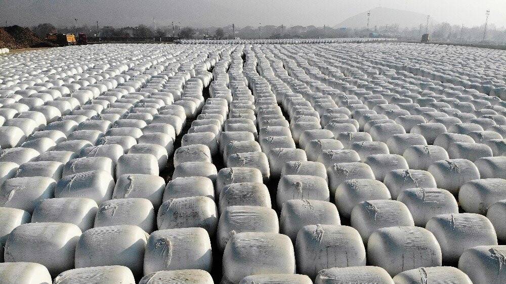 Dev kar taneleri gibi, görenleri şaşırtıyor