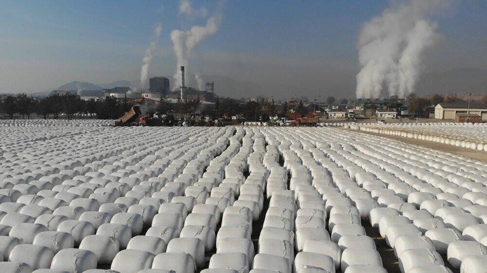 Dev kar taneleri gibi, görenleri şaşırtıyor