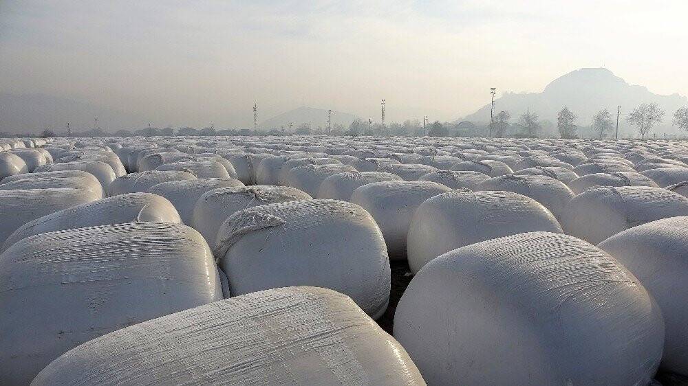 Dev kar taneleri gibi, görenleri şaşırtıyor