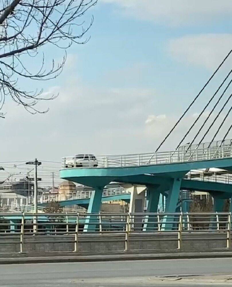 Konya'da yaya köprüsündeki otomobil şaşırttı