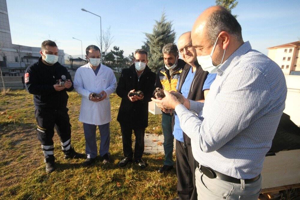 Konya'daki sağlık çalışanları, yeni doğan 11 köpek yavrusu ve annesine sahip çıktı
