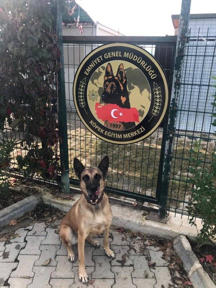 Yılın Narkotik köpeği Muğla’dan ‘Hera’