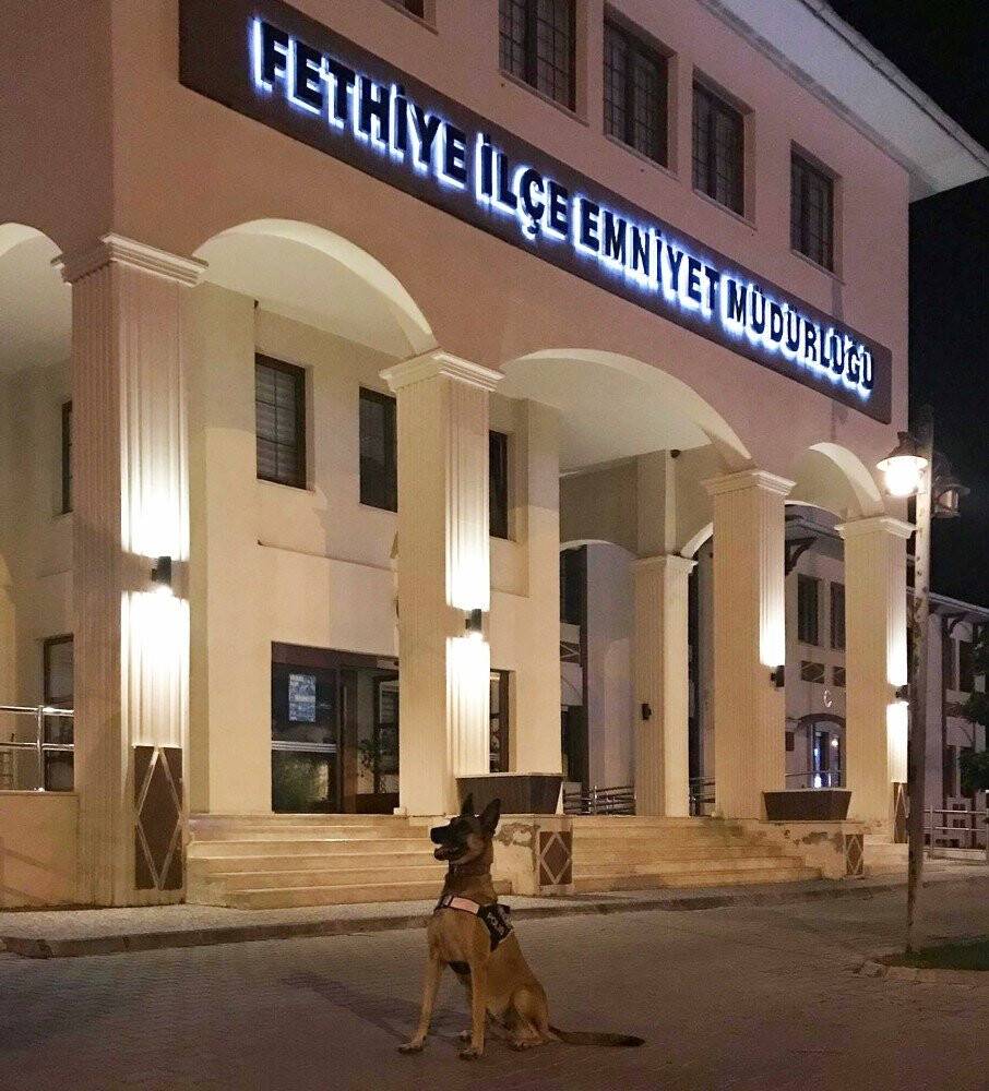 Yılın Narkotik köpeği Muğla’dan ‘Hera’