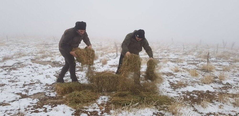 Konya'da yaban hayatına yem desteği