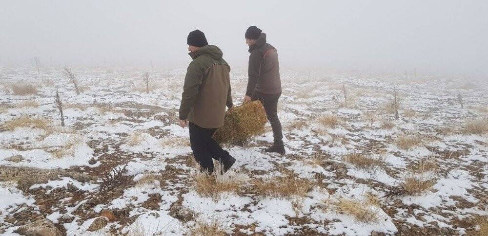 Konya'da yaban hayatına yem desteği
