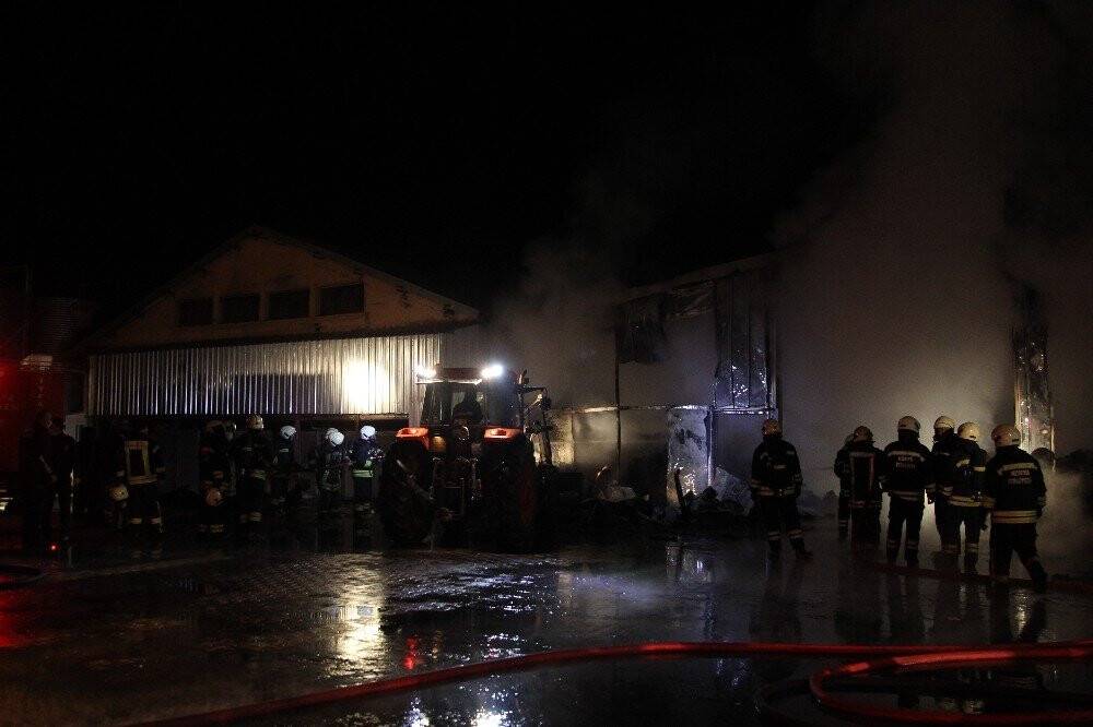 Konya’da tavuk çiftliğinde yangın! 1000'e yakın tavuk telef oldu