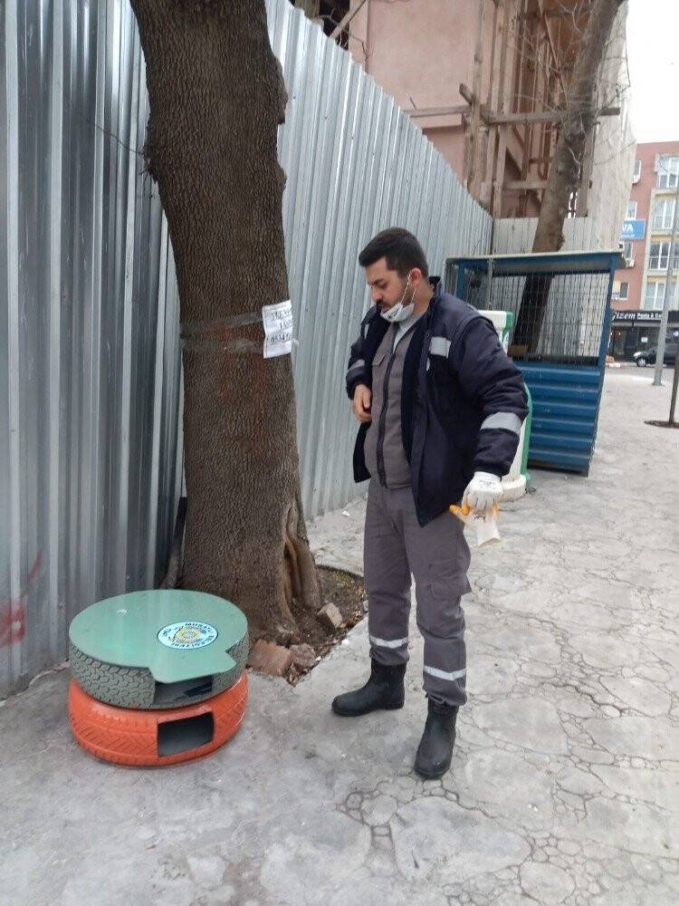 Eski araç lastikleri kedi evi oldu