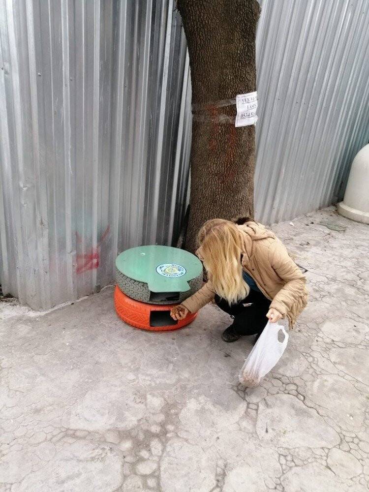 Eski araç lastikleri kedi evi oldu