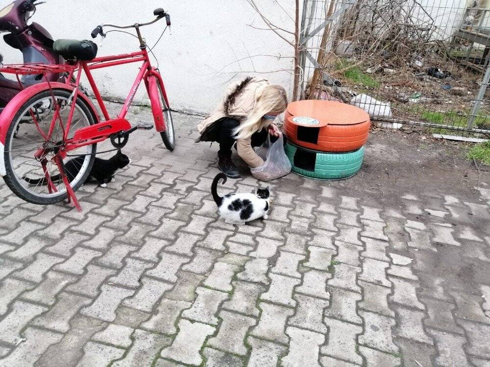 Eski araç lastikleri kedi evi oldu