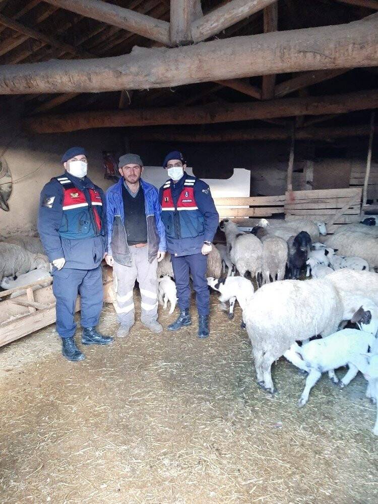 Konya’da çalınan hayvanlar bulunarak sahibine teslim edildi