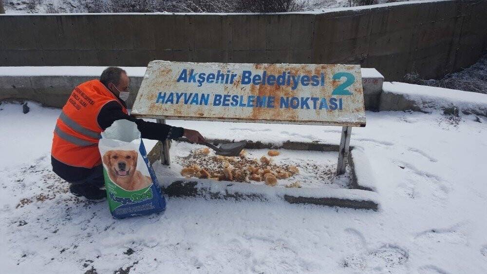 Akşehir Belediyesi sokak hayvanlarını unutmuyor