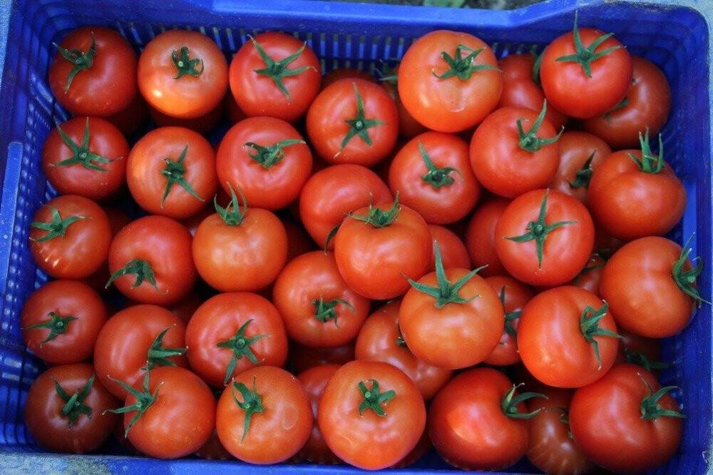Domates fiyatında düşüş, meyvede rekor artış yaşanıyor