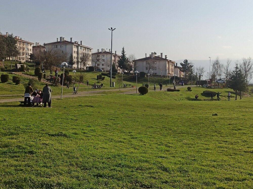Şubat ayında güneşi gören ağaçlar çiçek açtı