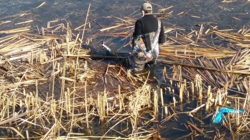 Balıkçı ağına takılan bahri kuşu kurtarıldı