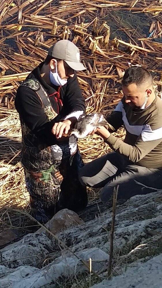 Balıkçı ağına takılan bahri kuşu kurtarıldı