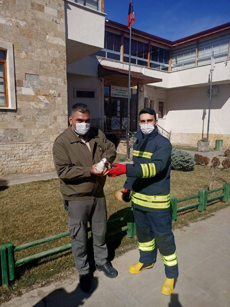 Konya'da kanala düşen yaralı martıyı itfaiye kurtardı