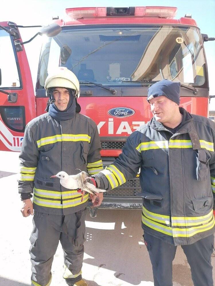 Konya'da kanala düşen yaralı martıyı itfaiye kurtardı