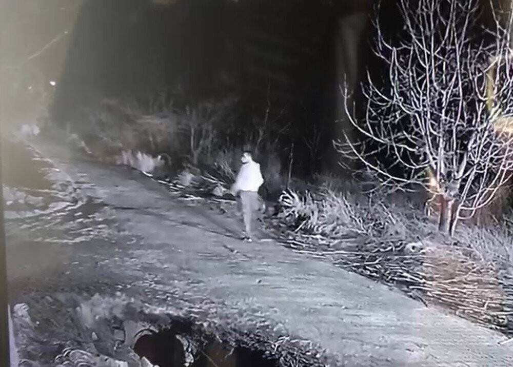 Konya’da şehit annesinin koyunları çalındı