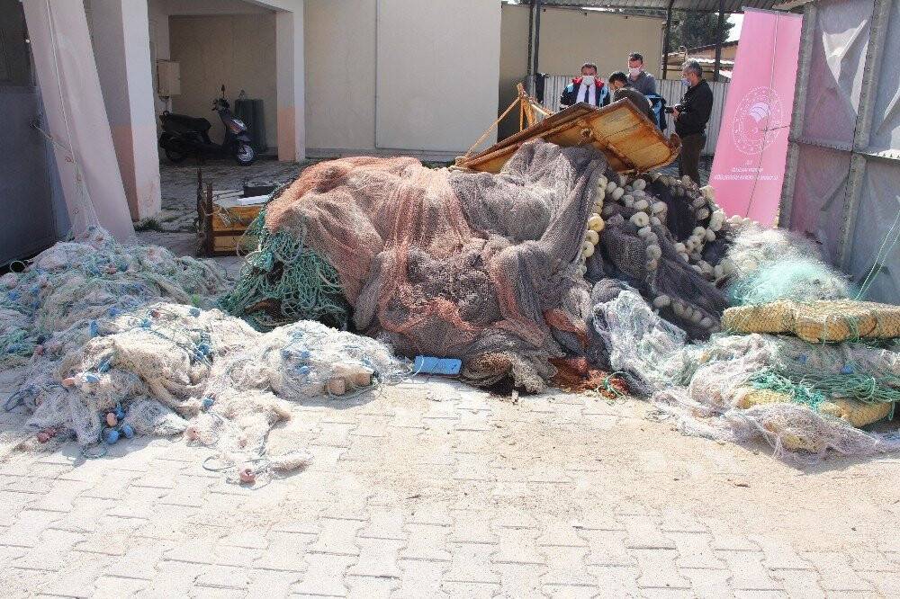 Bu balığın kuyruğu balıkçılara binler kazandırdı