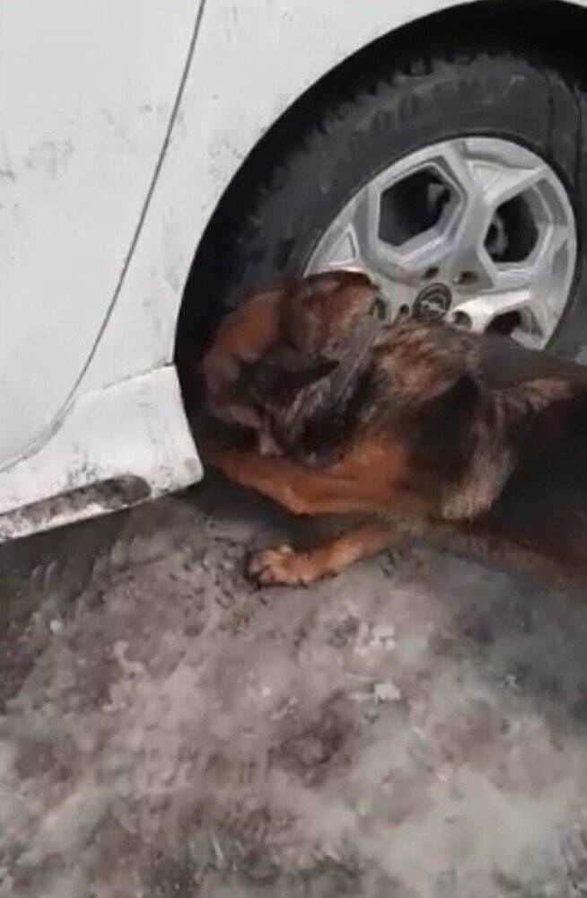 Konya'da uyuşturucu operasyonu! Otomobildeki zuladan 14 kilo 625 gram eroin çıktı