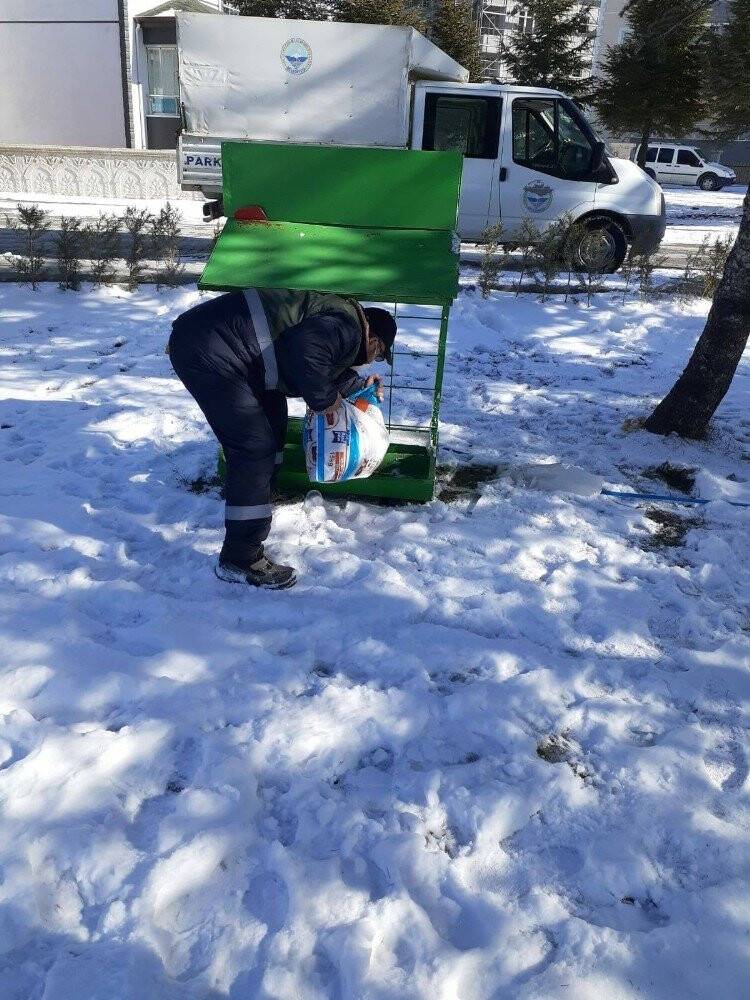 Kulu’da sokak hayvanları unutulmadı