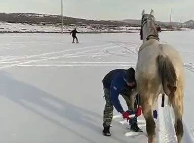 Kar üzerinde atlarıyla birlikte kayak yaptılar