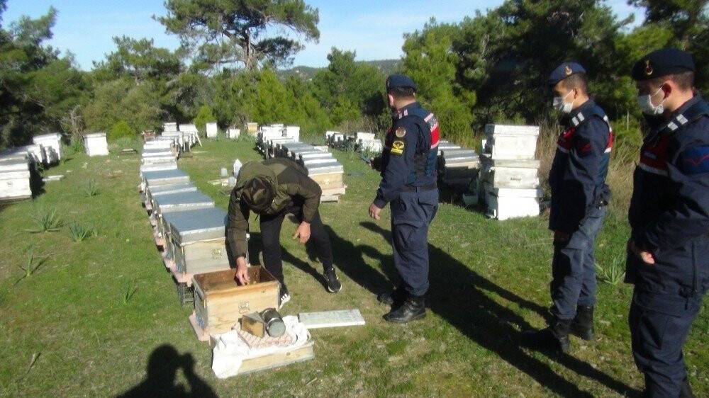Konya'da çalınan arılarını Manavgat'ta buldu