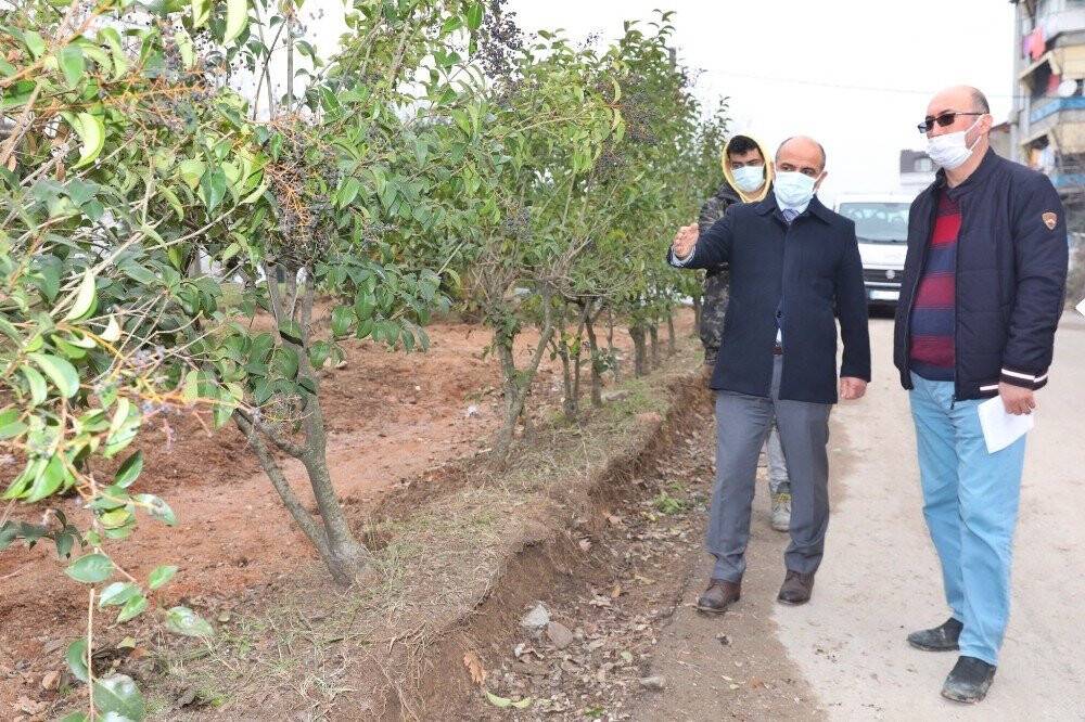 14 dönümlük parkın içinde yok yok