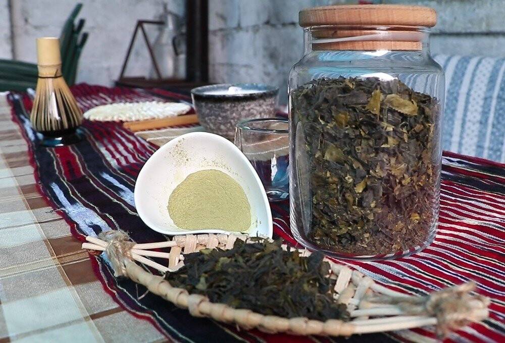 Türk çayının yeni şifa deposu ’matcha’