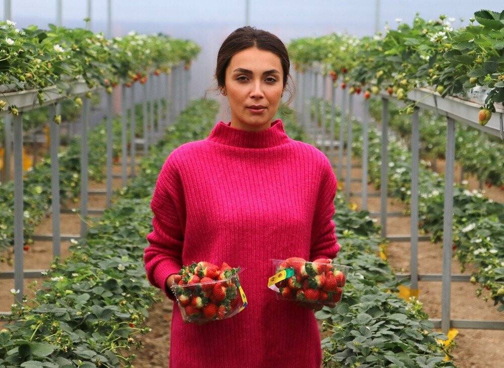 Girişimci kadın topraksız tarımla çilek üretti