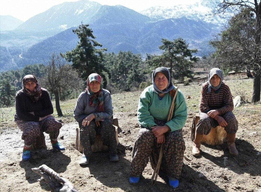 Fatma teyzenin 62 yıllık çobanlık hikayesi