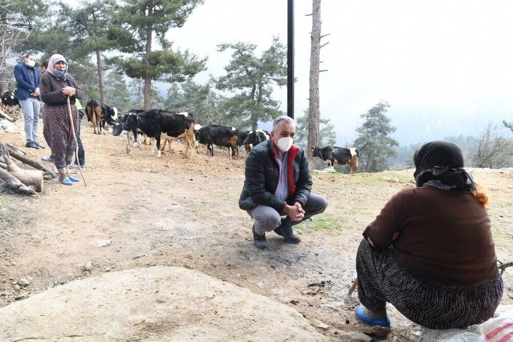 Fatma teyzenin 62 yıllık çobanlık hikayesi