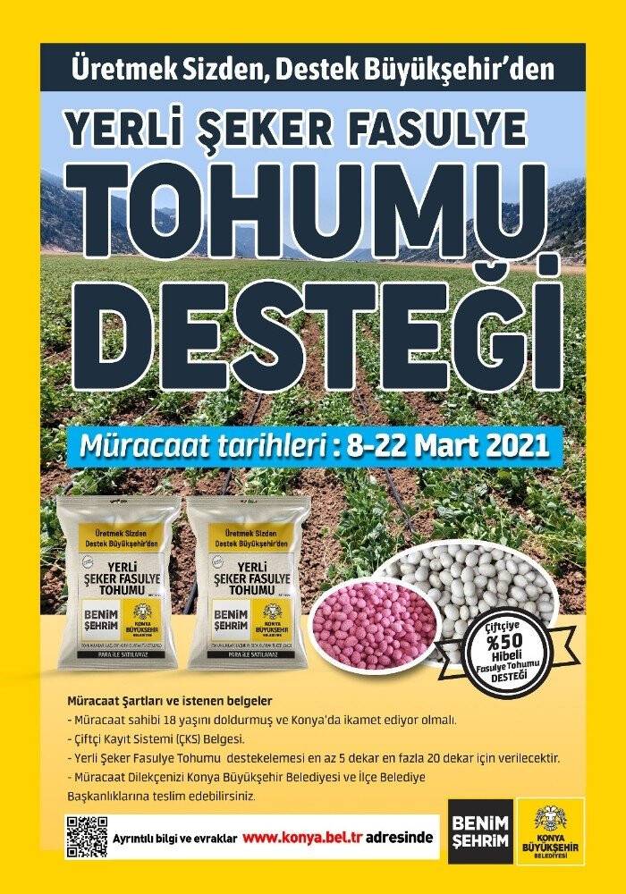 Konya Büyükşehir’den üreticiye yerli şeker fasulye tohumu desteği