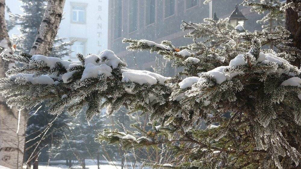 Ardahan’da kartpostallık kar manzaraları