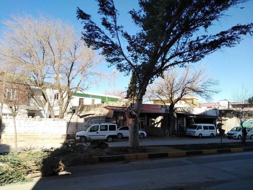 Şiddetli rüzgar ağaçları devirdi, çatıları uçurdu