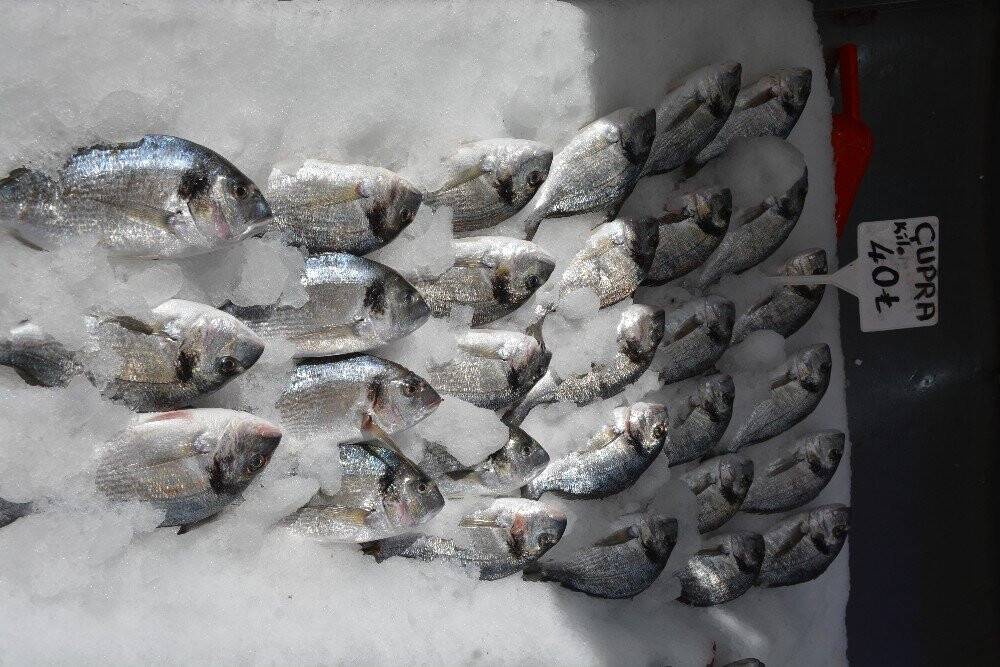 Tezgahlar havuz balıklarına kaldı