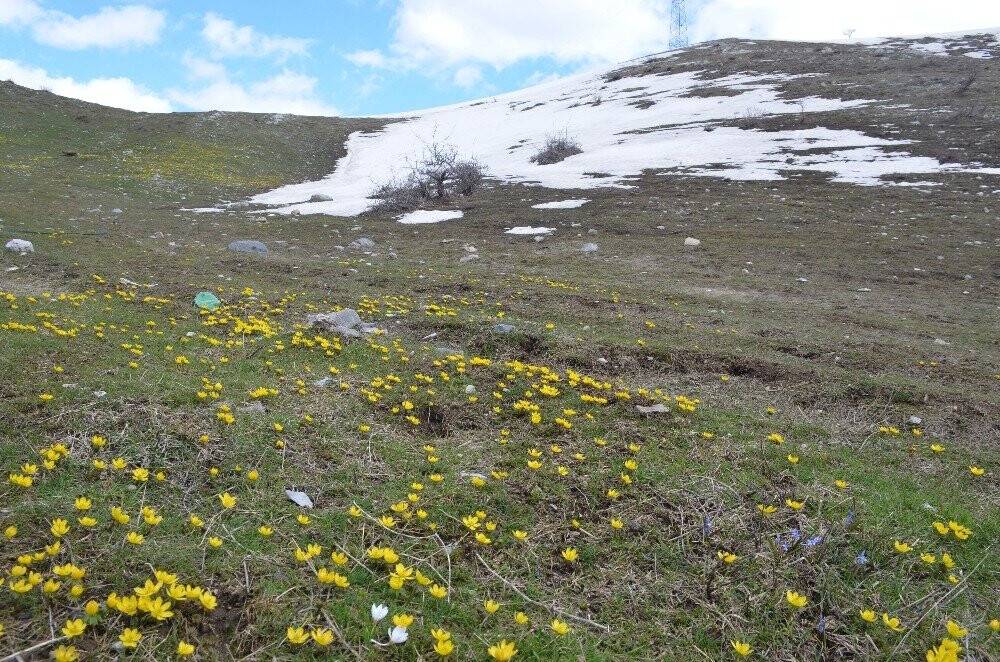 Metrelerce kar yerini çiçek bahçelerine bıraktı