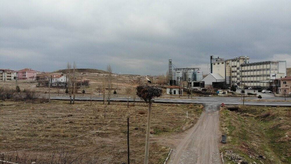 Bekir amcayı 15 yıllık komşusu leylekler bu yıl da yalnız bırakmadı