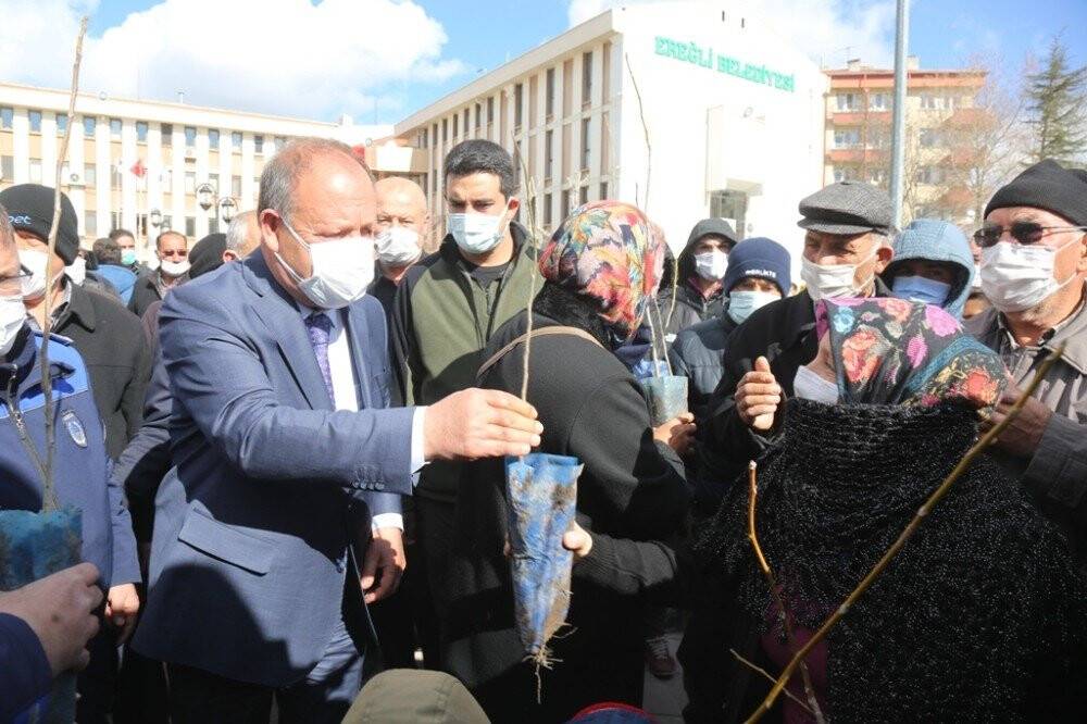 Ereğli Belediyesi’nden vatandaşlara 30 bin fidan
