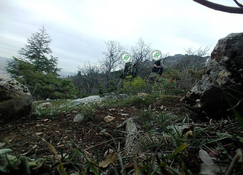 Konya'da usulsüz avlanırken, fotokapana yakalanan avcılar cezadan kurtulamadılar