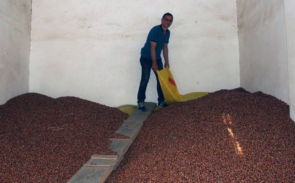 Fındık fiyatı haftayı düşüşle kapattı