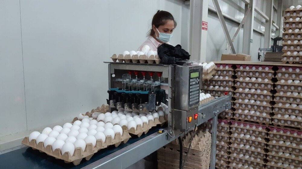 Bu ilçede 6 milyon tavuk, 5 bin insan yaşıyor