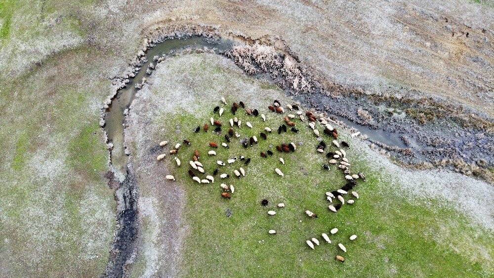 İlkbaharın erken gelişi besicileri sevindirdi
