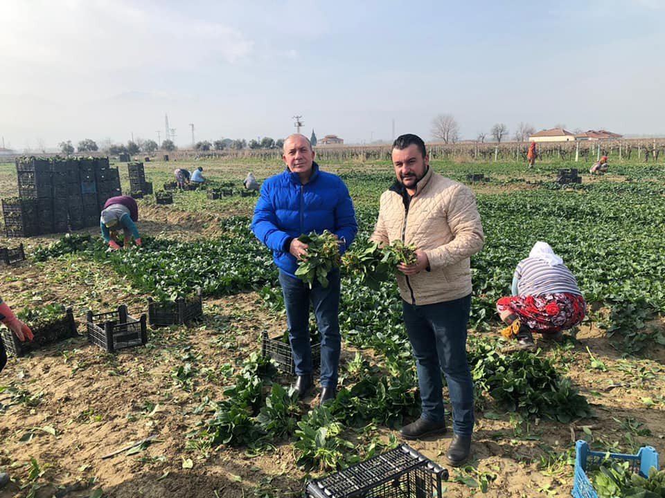 Korona virüs çiftçileri durduramadı