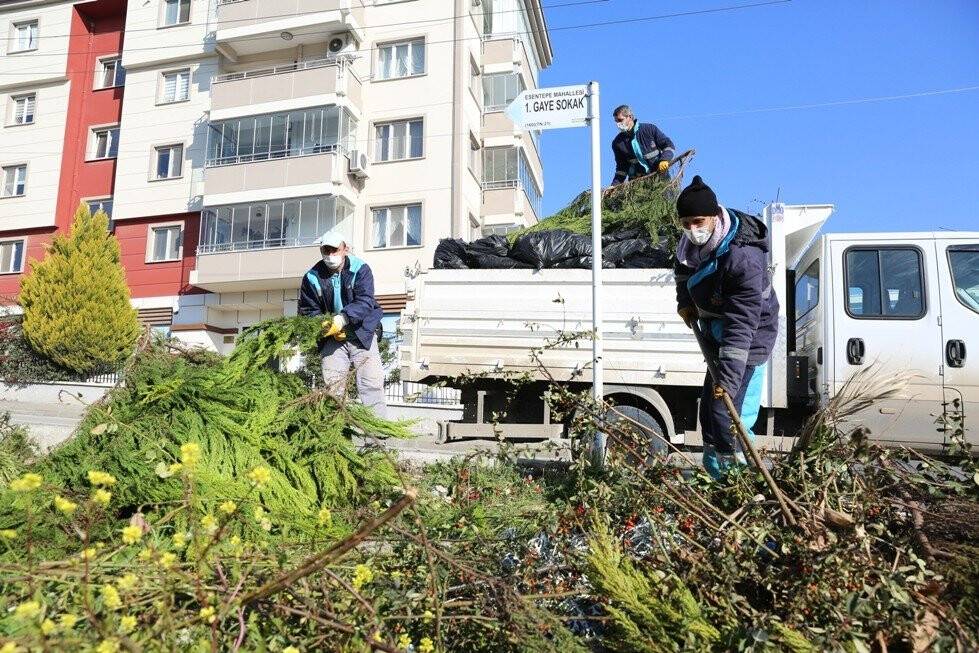 15 bin ton budama atığı gübre oldu